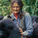 المرأة التي ضحت بنفسها دفاعاً عن الغوريلا!