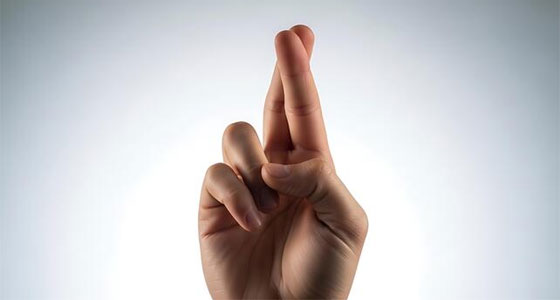 إنهم يتحدثون بأيديهم!