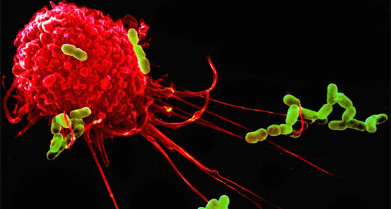 الأسرار الخفية لجهاز المناعة!