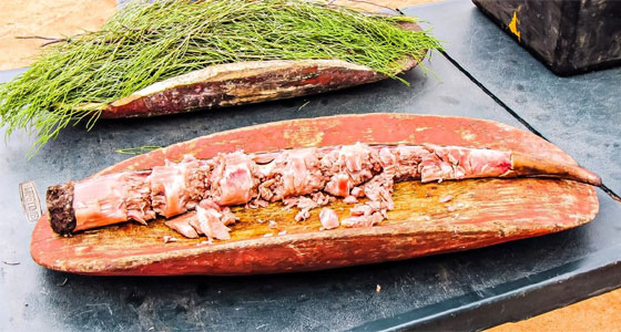 طبق ذيل الكنغر