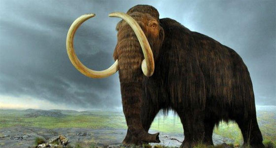 أسلحة من أنياب الماموث