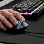 فأرة الكمبيوتر