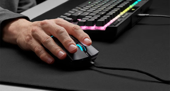 فأرة الكمبيوتر