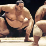 الديناصورات تلعب رياضة السومو